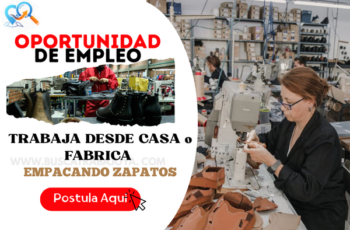 Empleos Rentables de Empacado de Zapatos