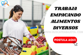 Empleos de Empacado de Alimentos Diversos: Desde Casa o Fábrica