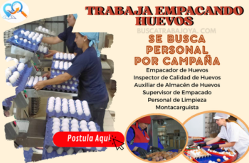 Granja Avícola Busca Personal para Empaque de Huevos