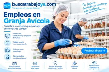 Granja Avicola Busca Personal para Empaque de Huevos