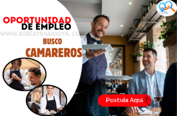 Se Necesitan Camareros para Restaurantes y Hoteles