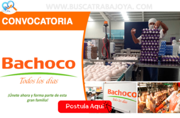 Trabaja en Grupo Bachoco: Oportunidades Laborales Disponibles