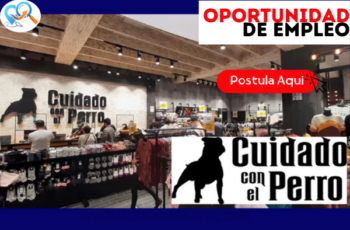 Trabajos en Tienda de Ropa Cuidado con el Perro: Oportunidades Laborales