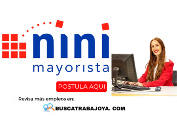 Empleos en Nini Mayorista Áreas de Trabajo y Cómo Postular
