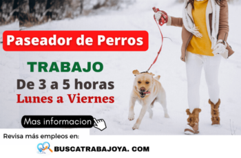 Trabaja Cuidando Perros Puestos de Trabajo y Cómo Postular