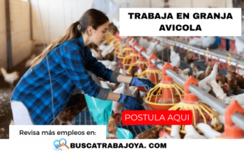 Trabajos en Granja Avícola Oportunidades Laborales y Requisitos