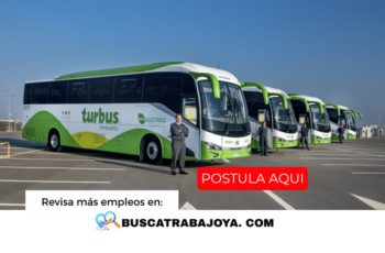 Trabajos en Turbus Guía de Puestos y Requisitos Laborales