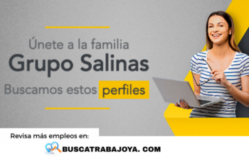 Trabajar en Grupo Salinas: Guía de Perfiles y Requisitos