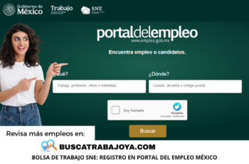 Bolsa de Trabajo SNE: Registro en Portal del Empleo México